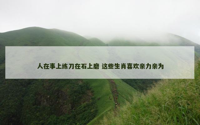 人在事上练刀在石上磨 这些生肖喜欢亲力亲为