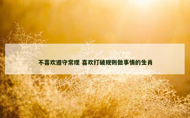 不喜欢遵守常理 喜欢打破规则做事情的生肖