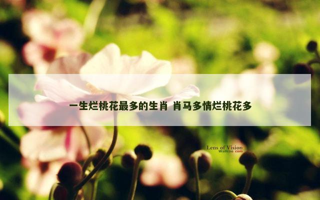 一生烂桃花最多的生肖 肖马多情烂桃花多