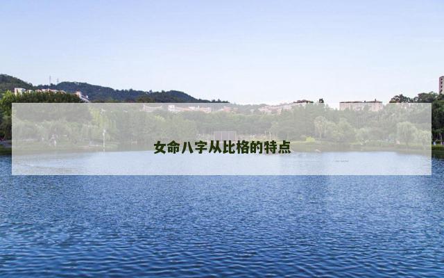 女命八字从比格的特点