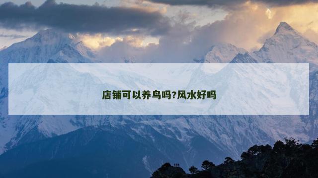 店铺可以养鸟吗?风水好吗