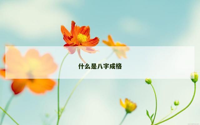 什么是八字成格