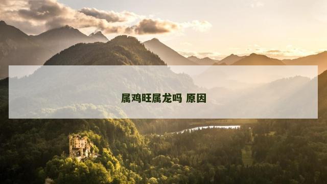 属鸡旺属龙吗 原因
