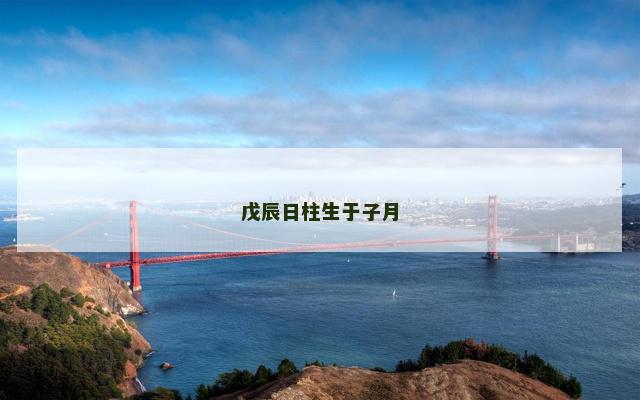 戊辰日柱生于子月