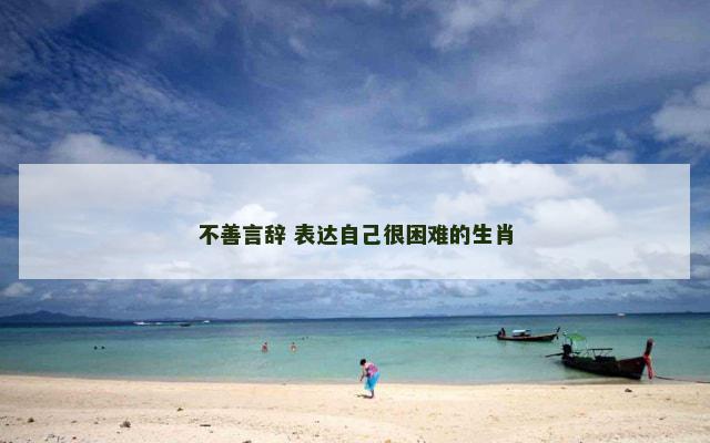 不善言辞 表达自己很困难的生肖