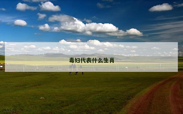 毒妇代表什么生肖