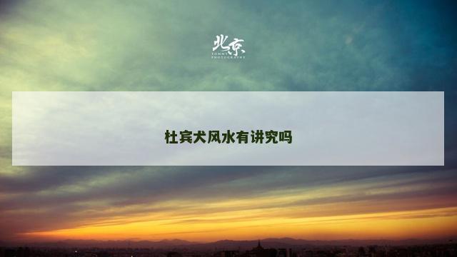 杜宾犬风水有讲究吗