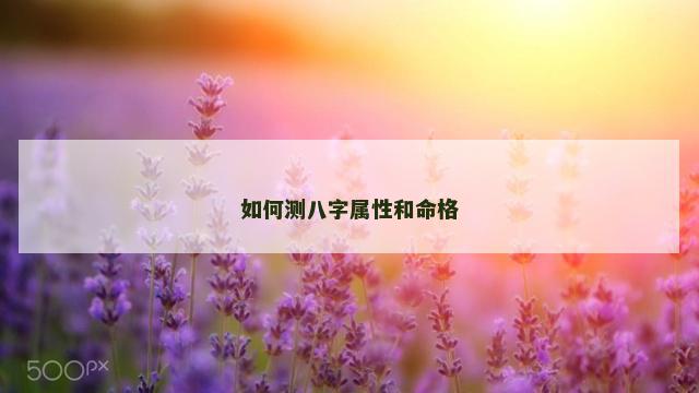 如何测八字属性和命格 如何测八字属性和命格