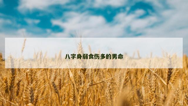 八字身弱食伤多的男命