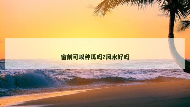 窗前可以种瓜吗?风水好吗 窗前可以种瓜吗?风水好吗