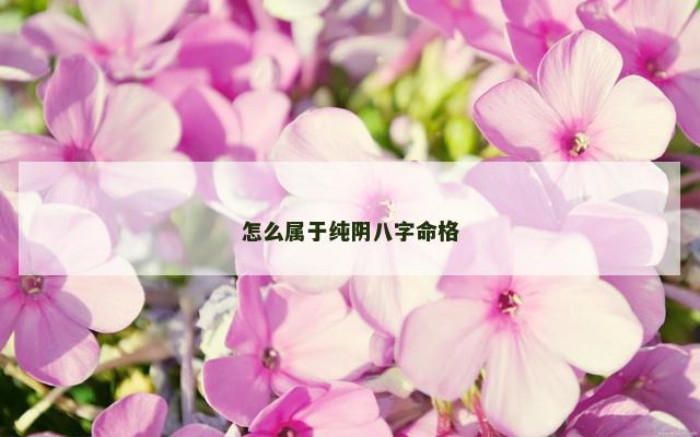 怎么属于纯阴八字命格