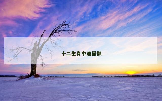 十二生肖中谁最懒 十二生肖中谁最懒