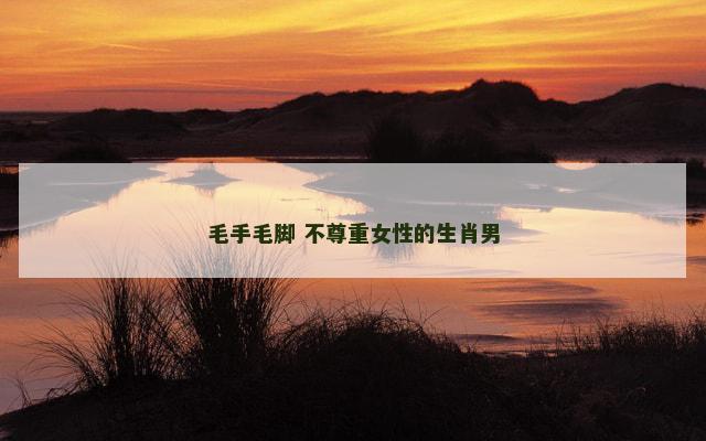 毛手毛脚 不尊重女性的生肖男