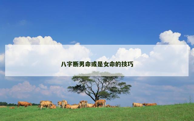 八字断男命或是女命的技巧 八字断男命或是女命的技巧