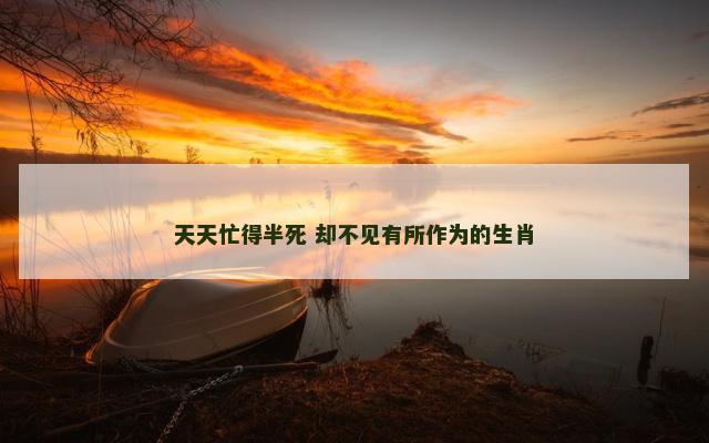 天天忙得半死 却不见有所作为的生肖 天天忙得半死 却不见有所作为的生肖