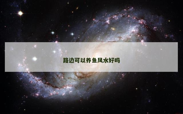 路边可以养鱼风水好吗