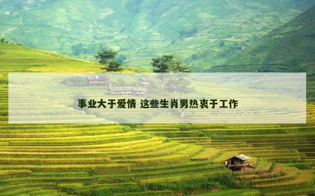 事业大于爱情 这些生肖男热衷于工作 事业大于爱情 这些生肖男热衷于工作