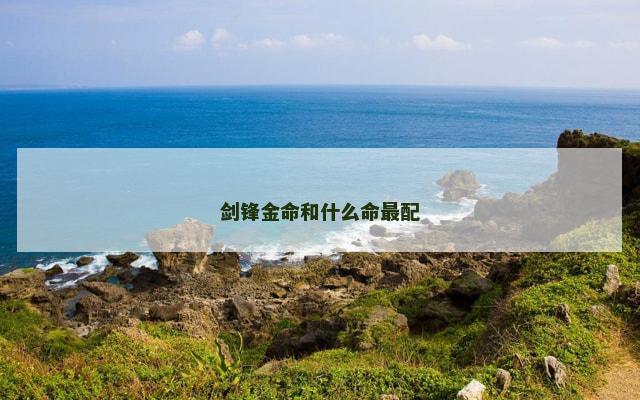 剑锋金命和什么命最配