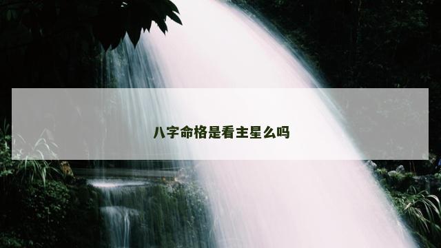 八字命格是看主星么吗