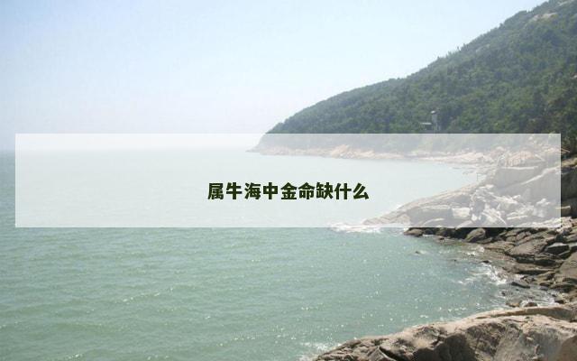 属牛海中金命缺什么
