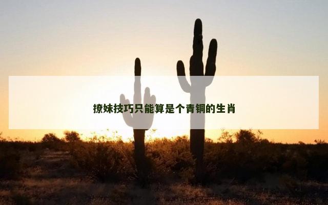 撩妹技巧只能算是个青铜的生肖 撩妹技巧只能算是个青铜的生肖