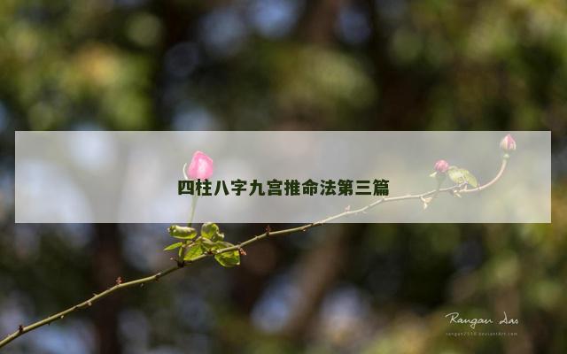 四柱八字九宫推命法第三篇 四柱八字九宫推命法第三篇