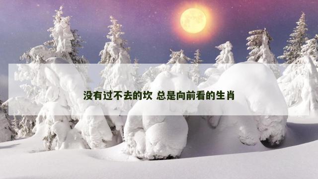 没有过不去的坎 总是向前看的生肖 没有过不去的坎 总是向前看的生肖