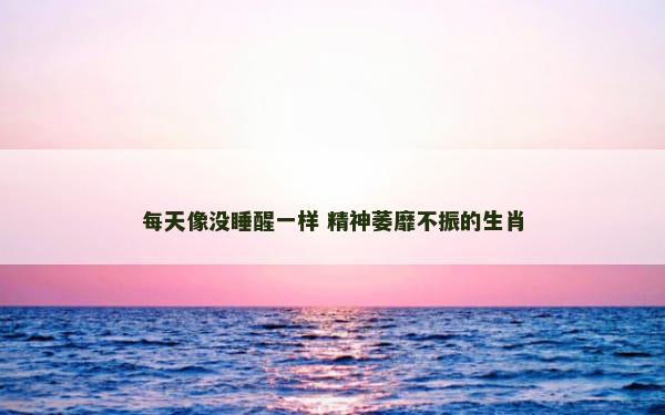 每天像没睡醒一样 精神萎靡不振的生肖