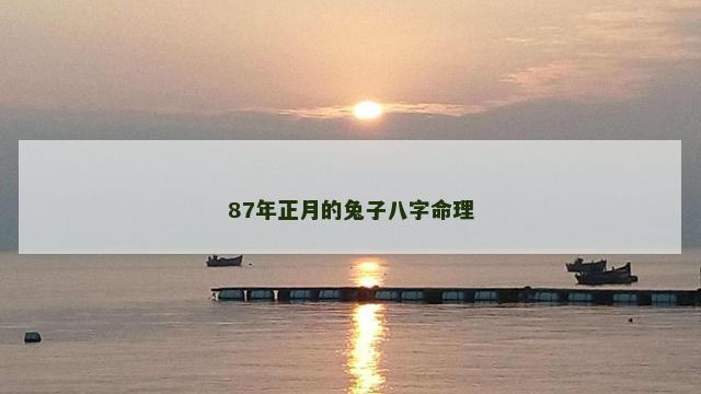 87年正月的兔子八字命理