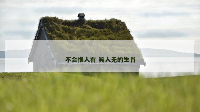 不会恨人有 笑人无的生肖