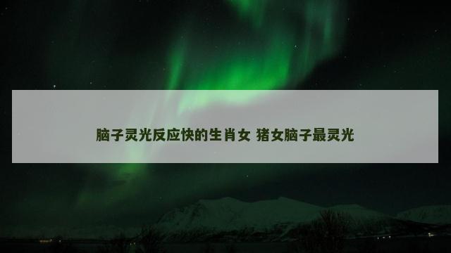 脑子灵光反应快的生肖女 猪女脑子最灵光