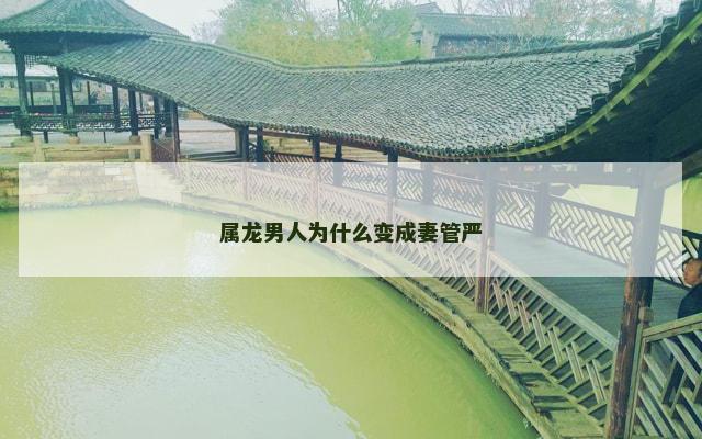 属龙男人为什么变成妻管严