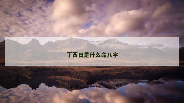 丁酉日是什么命八字