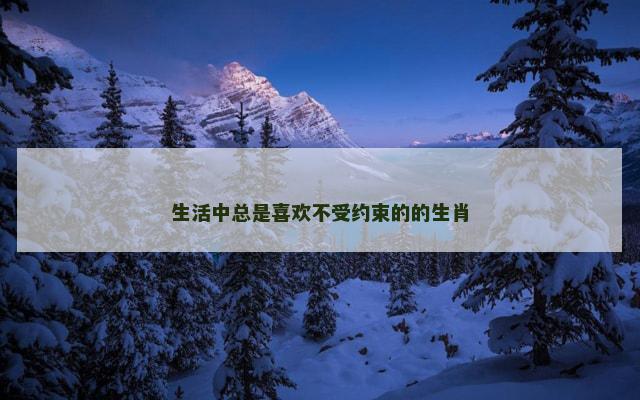 生活中总是喜欢不受约束的的生肖