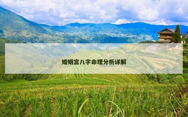 婚姻宫八字命理分析详解