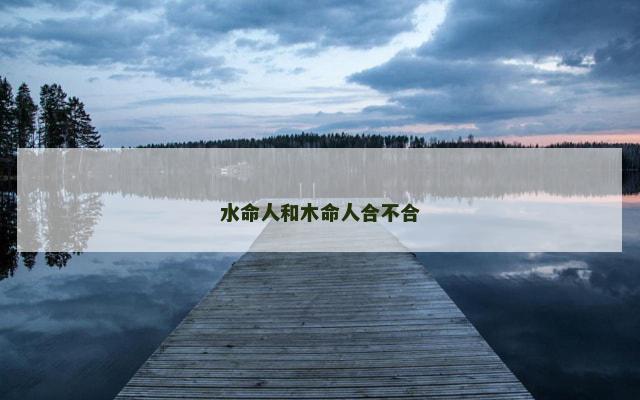 水命人和木命人合不合