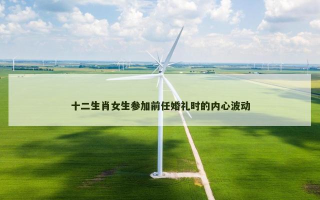 十二生肖女生参加前任婚礼时的内心波动