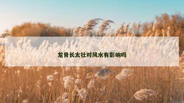 龙骨长太壮对风水有影响吗