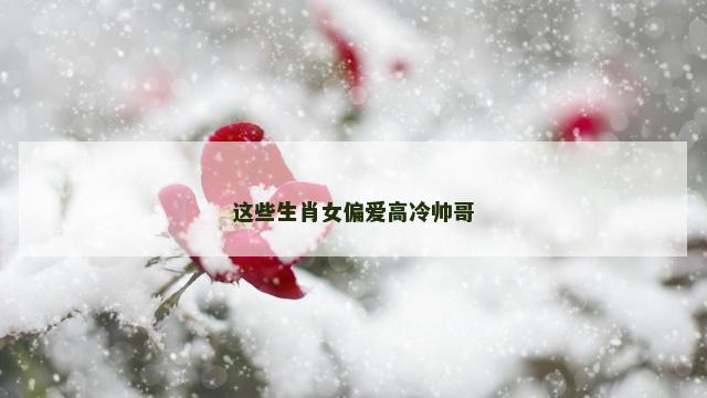 这些生肖女偏爱高冷帅哥 这些生肖女偏爱高冷帅哥