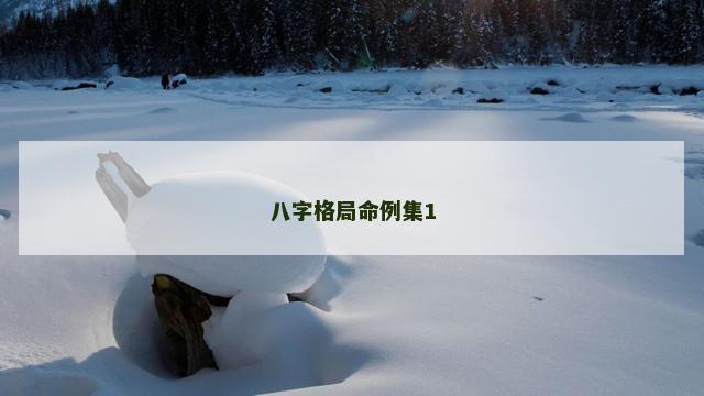 八字格局命例集1