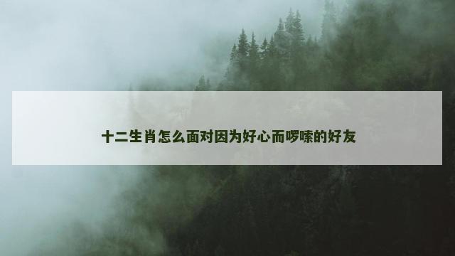 十二生肖怎么面对因为好心而啰嗦的好友