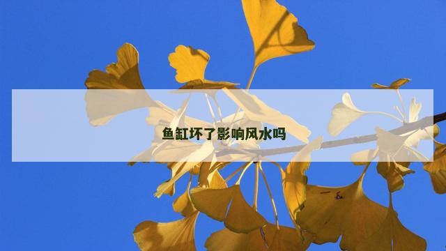 鱼缸坏了影响风水吗 鱼缸坏了影响风水吗