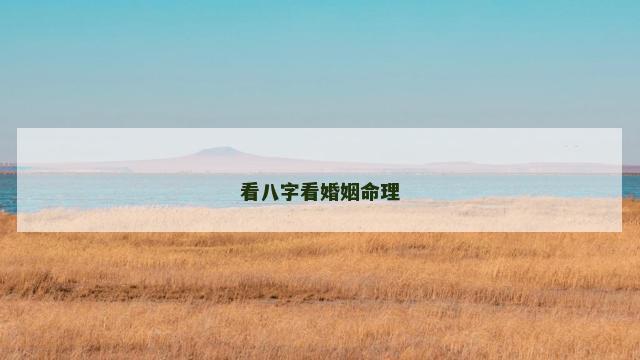 看八字看婚姻命理