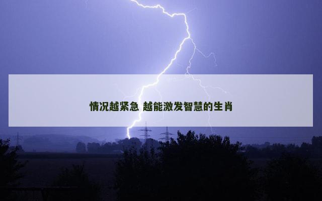 情况越紧急 越能激发智慧的生肖 情况越紧急 越能激发智慧的生肖