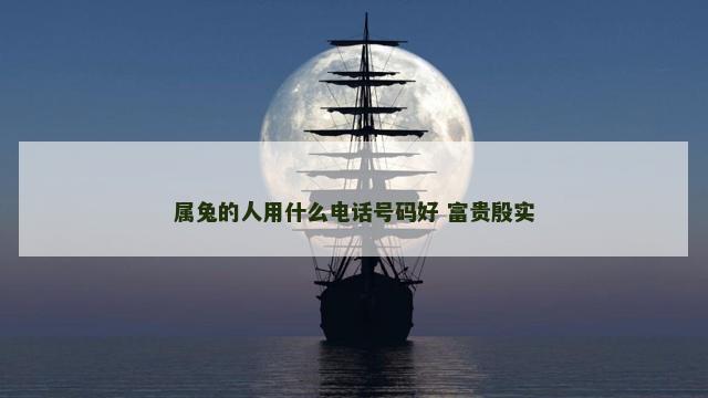 属兔的人用什么电话号码好 富贵殷实