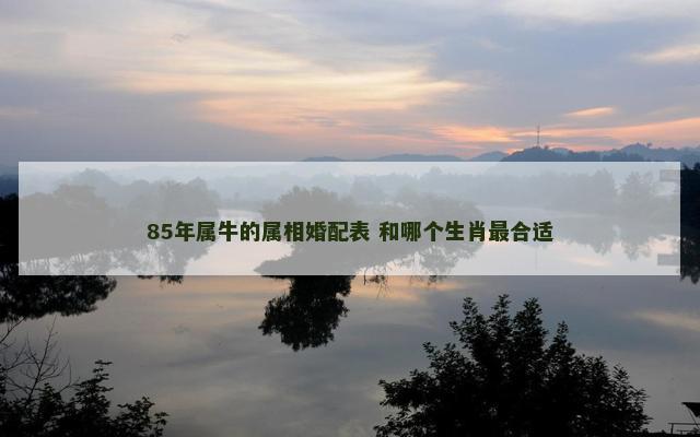 85年属牛的属相婚配表 和哪个生肖最合适