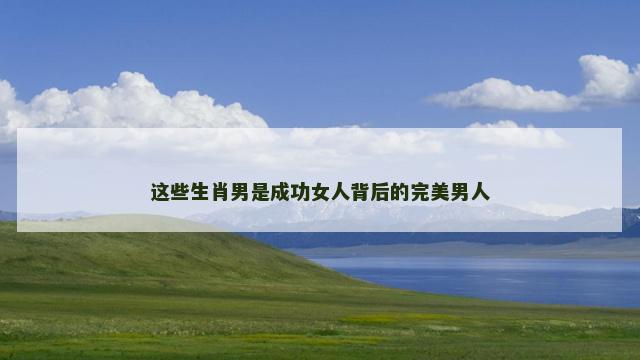 这些生肖男是成功女人背后的完美男人