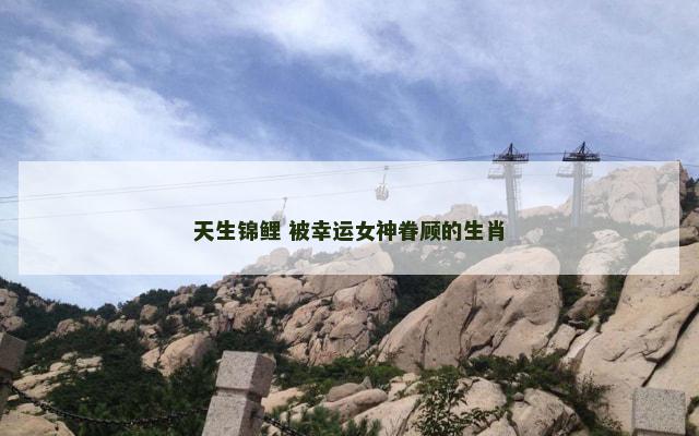 天生锦鲤 被幸运女神眷顾的生肖