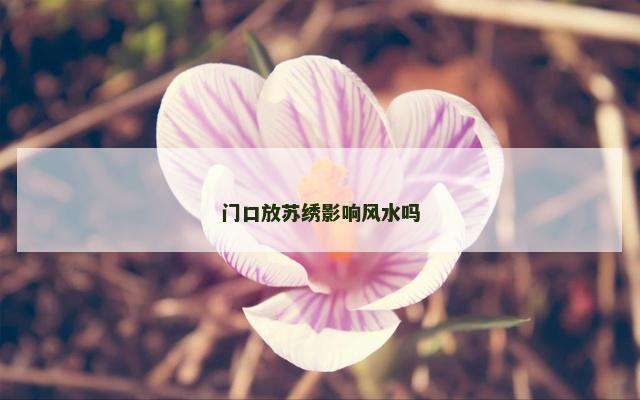 门口放苏绣影响风水吗