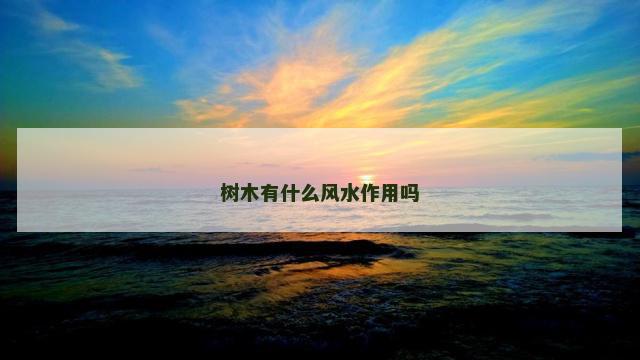 树木有什么风水作用吗